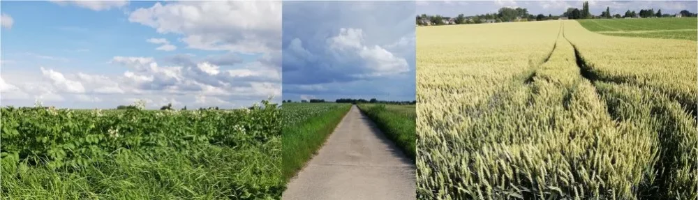 Secteur Pastoral de Leuze